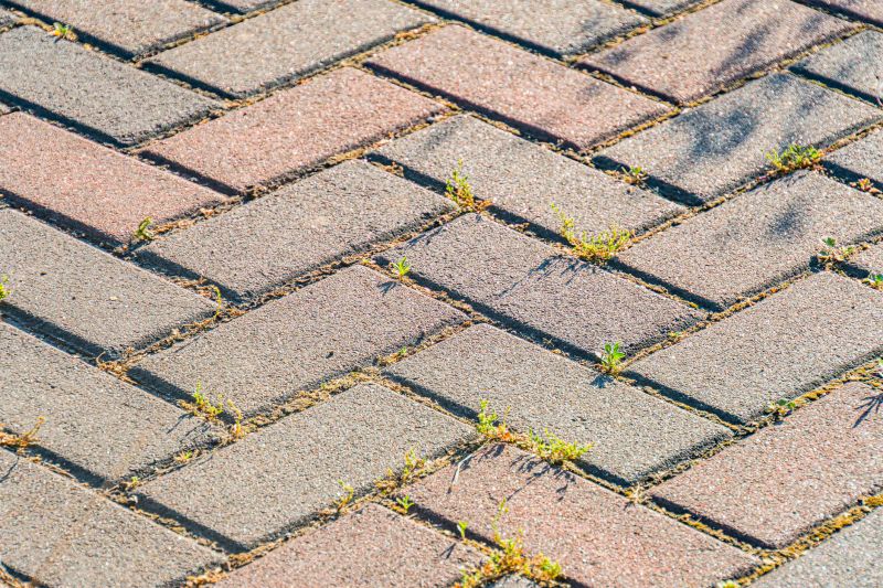 Brick Hardscaping Installation detail